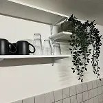 Plini Apartman *